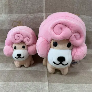 초레어?! 앉아있는 스타일 아프로견 컬리견 헤이세이 레트로