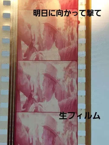 영화 서양화 생필름 내일에 향해 쏴라! 폴 뉴먼