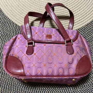 헤이세이 레트로 안나수이 ANNA SUI 백 가방