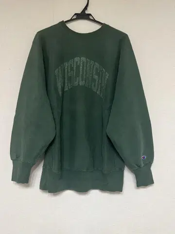 분위기 발군 챔피온 90s 자수 택 리버스 위브 위스콘신