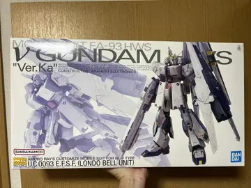 MG 1/100 뉴 건담 HWS Ver.Ka