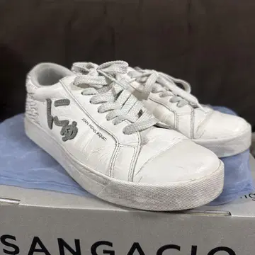 SANGACOI 뉴 바스키아 콜라보