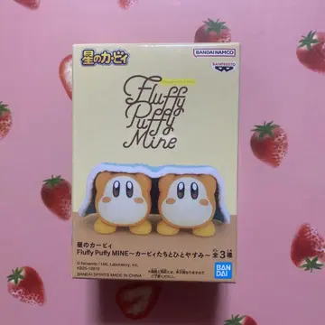 와돌디