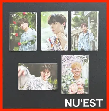 귀중 트레이딩 카드 홍콩 [ yes! ] 카드 Nuest 5장 세트! 4