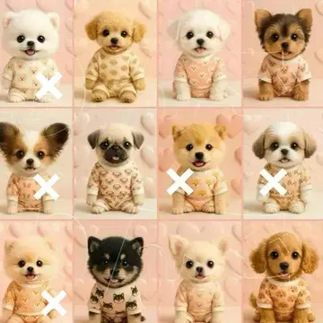 오더 접수 파자마 강아지