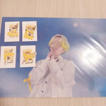 STPR expo 루토군 클리어 포스터 스티커