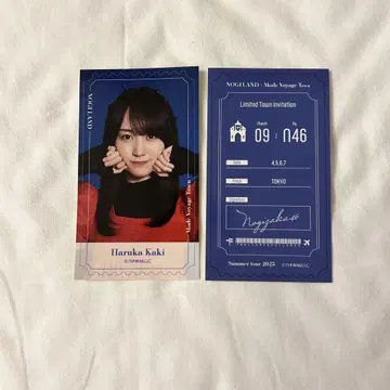 카키 하루카 노기메쿠리 b상