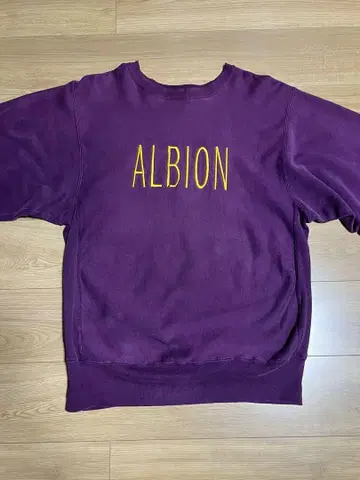 champion 90s ALBION 자수 vintage 리버스 위브