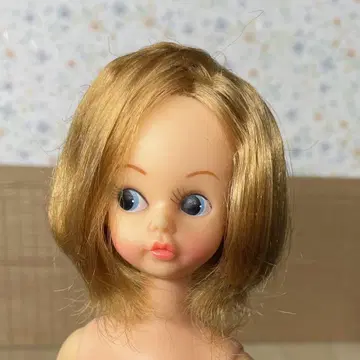 당시 제작 나카지마 제작 스칼렛짱?