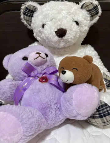 곰 봉제 인형 3세트