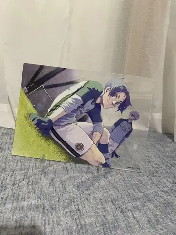 미카게 레오 블루 록 아크릴 보드