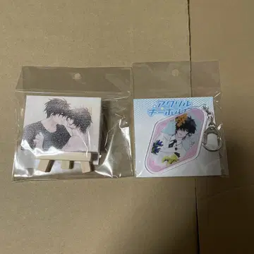 슬로우 데미지 아크릴 키링 캔버스 아트 토와 후지 에다