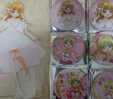 피치피치 피치 루치아 세트