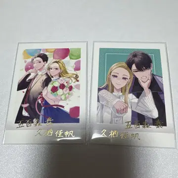 밟거나, 차거나, 사랑하거나 파샤코레