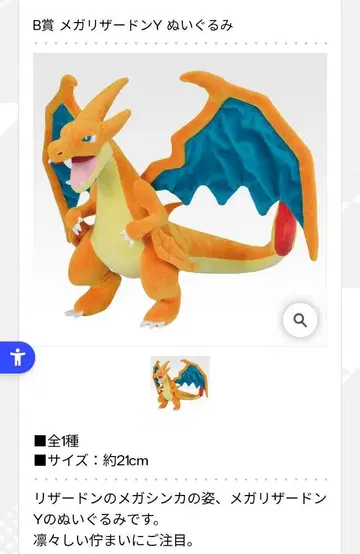 메가 리자몽 Y 봉제 인형 + 핸드 타월
