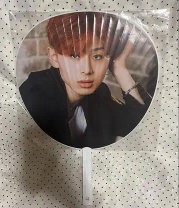 야마시타 에이쿠 EIKU 부채 에비라이 즉시 구매