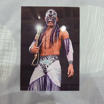 DRAGONGATE 슌 스카이 워커 브로마이드