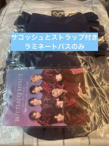 BUTTERFLY EFFECT 업그레이드 굿즈