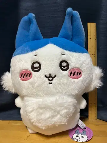 치이카와 (먼작귀) 패러렐 월드!? BIG 봉제 인형