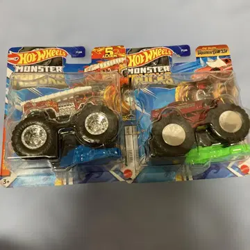 HOTWHEELS 몬스터 트랙 (레어) 2대 세트