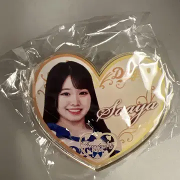 주니치 드래곤즈 치아도라 데이 치아도라 아크릴 배지 Saaya