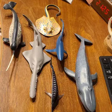 몬터레이 베이 아쿠아리움 Safari Ltd 해양 생물 피규어 6개