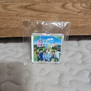 WEST. west 키링 시마 그린 어드벤처 오리지널 1등