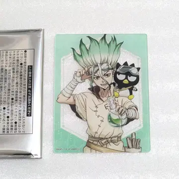 Dr.STONE 이시가미 센쿠 산리오 아크릴 카드 바츠마루 등신