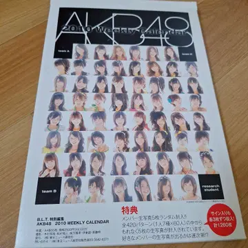 AKB48 2010 달력