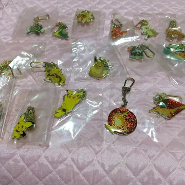 초레어! 닌텐도, 포켓몬 키라 포함 메탈 홀더 16종 리자몽 포함!