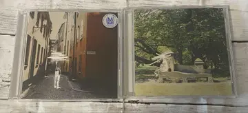 요루시카니까 나는 음악을 그만두었다 엘르 결혼식 웨딩 피로연 BGM