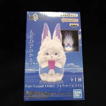 2 Fate/Grand Order 폴룸 라이트