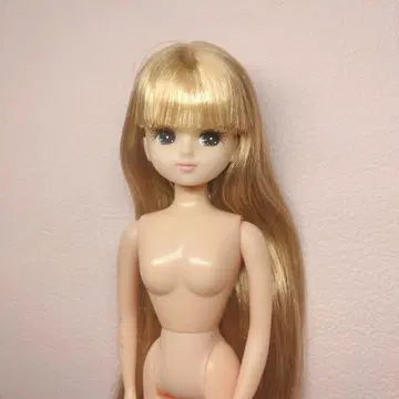 리카짱 (일본제) 본체만