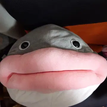 메기 즛치 울트라 봉제 인형 BIG