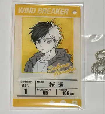 WIND BREAKER 프로필 아크릴 키링 아크릴 키링 사쿠라 하루카