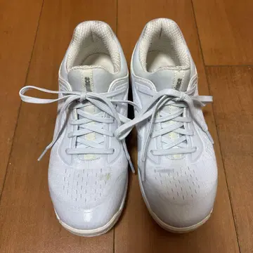삼나무야마 아이 프로 감수. 비너스 매쉬 AC 24.5cm