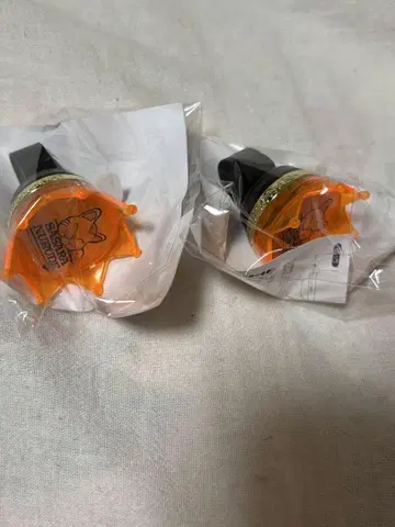 시라카미 사사라 링 라이트