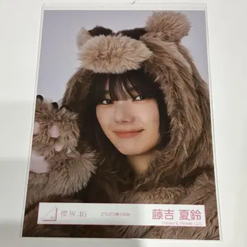 사쿠라자카46 브로마이드 동물 인형옷 후지요시 카린 요리