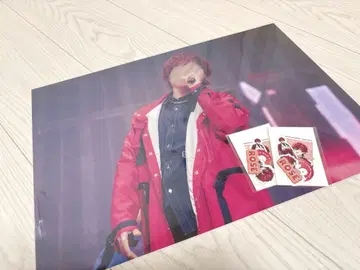 패밀리 복권 로제