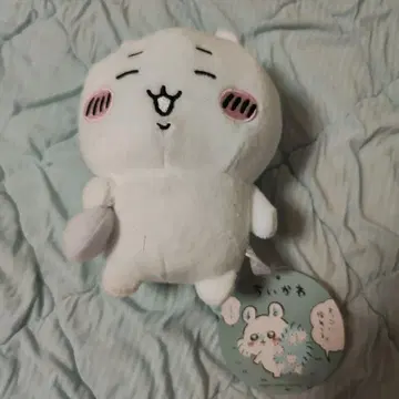 치이카와 봉제 인형