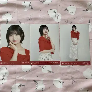 즉시 구매 나카니시 아루노 오사카 컴프 한여름의 전국 투어 2025