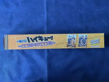 하이큐!! 포스터 2장 포함