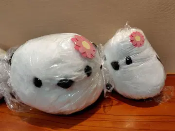 복복 시마연가 컬러풀 플라워 시마에 거베라 2체 세트