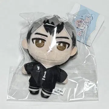 하이큐 누이파루 키타 신스케