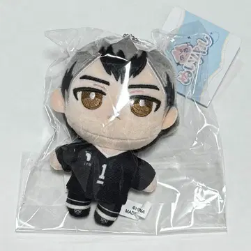 하이큐 누이파루 키타 신스케