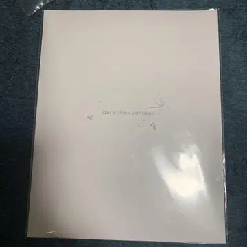 아노짱 무도관 팜플렛
