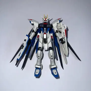 RG 기동전사 건담 SEED ZGMF-X10A 프리덤 건담