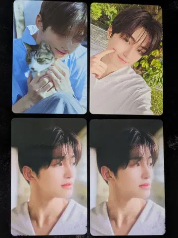 TWS 첫 만남 POPUP 지훈 트레이딩 카드