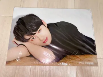 SEVENTEEN 준 클리어 파일