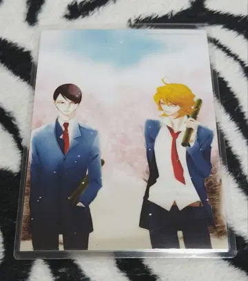 나카무라 아스미코 브로마이드 라미네이티드 d